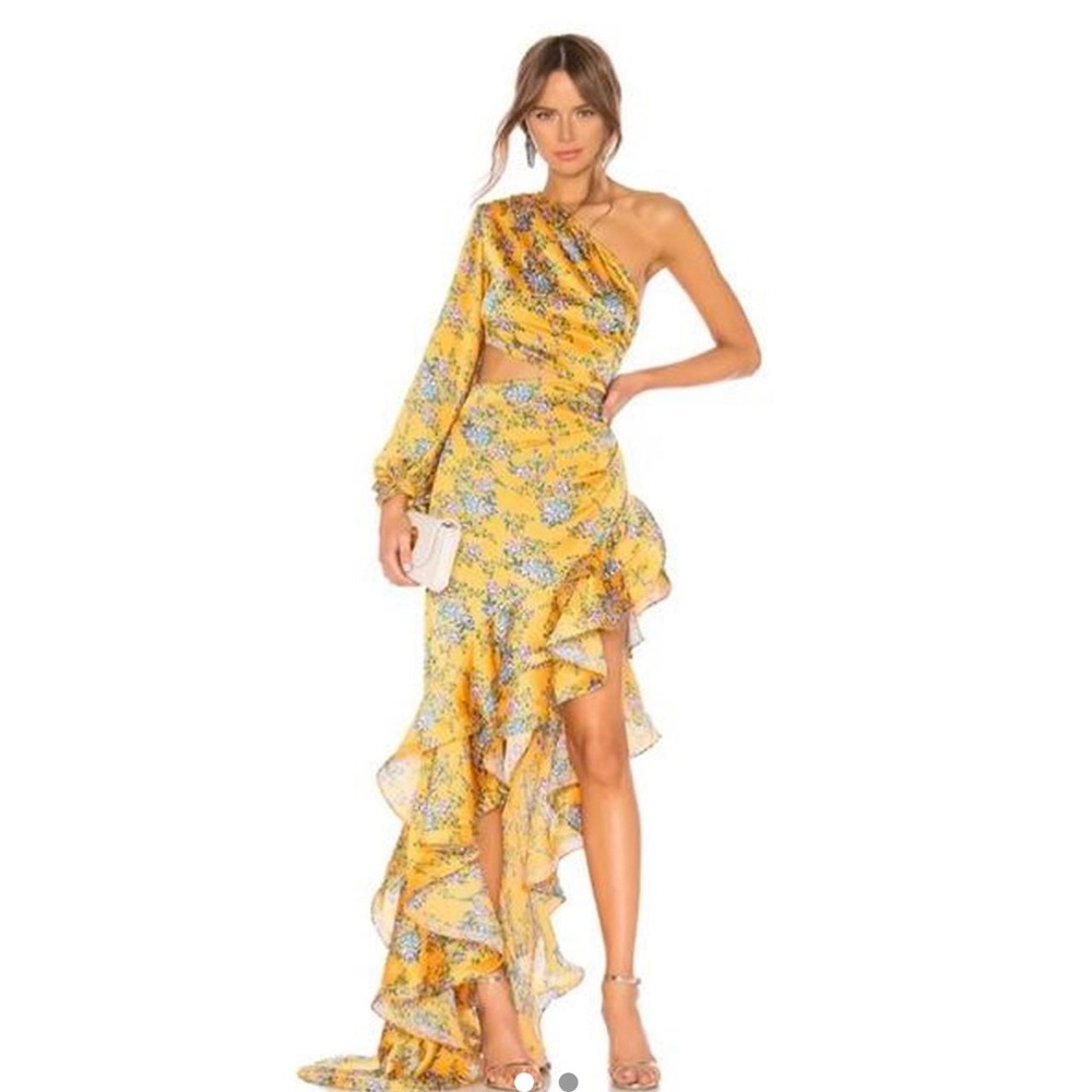 Revolve dress